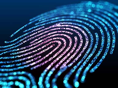 Self-Sovereign Digital ID